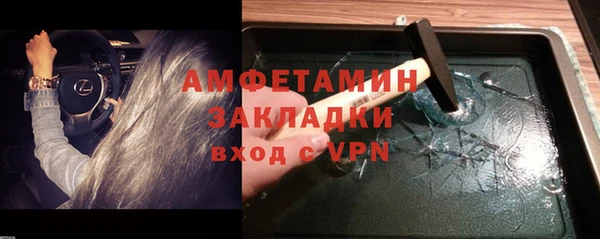 ГАЛЛЮЦИНОГЕННЫЕ ГРИБЫ Бородино