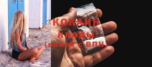 ГАЛЛЮЦИНОГЕННЫЕ ГРИБЫ Бородино