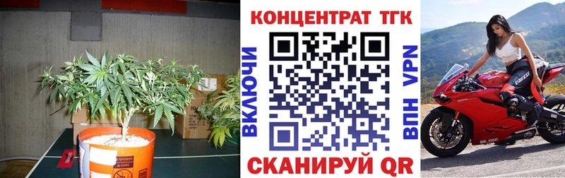 Купить  Кольчугино  Дистиллят ТГК вейп 
