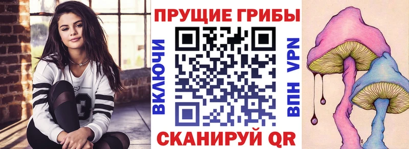 Купить закладки Кольчугино Псилоцибиновые грибы MAGIC MUSHROOMS